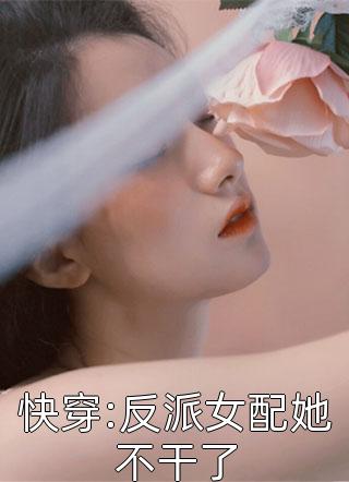 青云路：从领导秘书开始全文章节