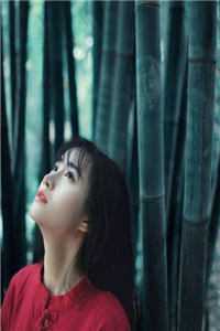 心动也曾震耳欲聋小说免费