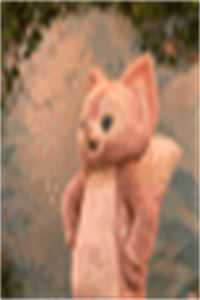 心动也曾震耳欲聋章节