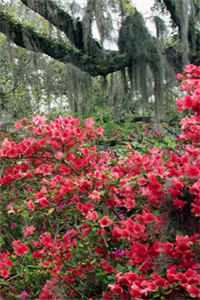 我好心救下校花后，她却恩将仇报精彩