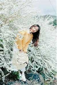 情止黎明前完结+番外